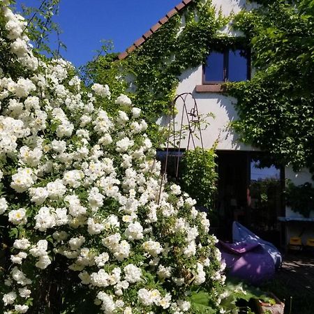 Chambre D'Hotes De Charme, Un Temps En Foret Westhouse Exterior foto