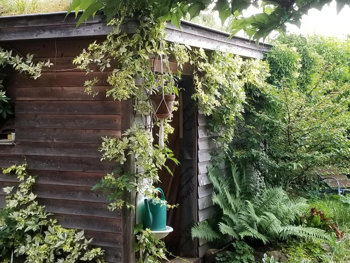 Chambre D'Hotes De Charme, Un Temps En Foret Westhouse Exterior foto